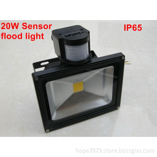 Waterproof IP65 20W Security Flood Light